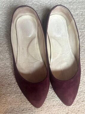 Poppy Barley Women's Pointed Toe Flats in Plum